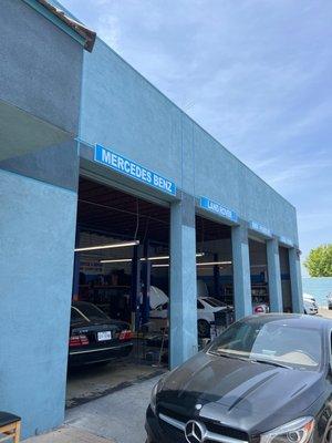 Mercedes Benz Service & Repair