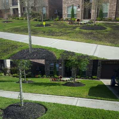 Lawn Top dressing