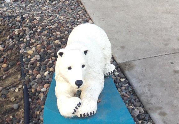 White Bear-in front of White Bear Lake Y