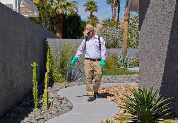 Spraying rock pile really well for scorpions and crickets.