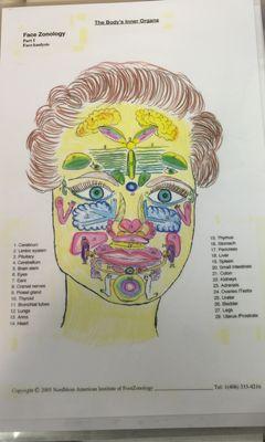 Face zone. Calms and heals the mental body.