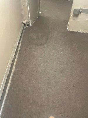 Wet carpet from rain leaking