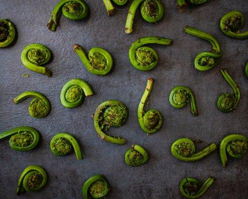 Western Fiddlehead Ferns are here!
Did you know fiddlehead ferns are a spring delicacy?