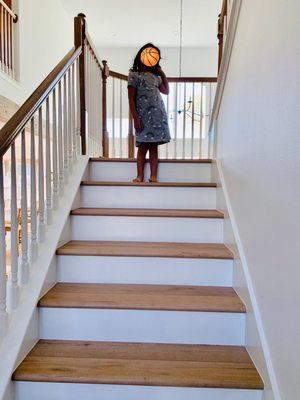 Matching stair treads & custom stained railing to match