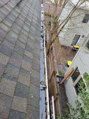 Gutter Cleaning Before and After