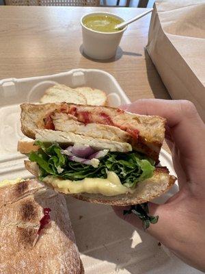 Chiptole chicken panini