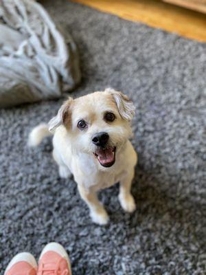 Post-Grooming Grins!