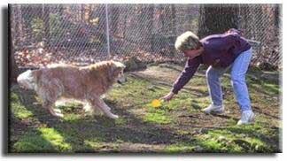 Some personal Play time in the back yard with our associate