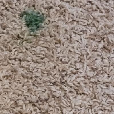 Carpet stain after 1st Resort Cleaning