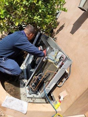 Our service technician cleaning Air Conditioning condenser unit here in Redondo Beach!