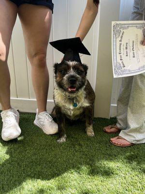 Puppy graduation!