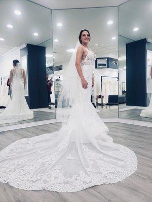 The day I picked out my wedding dress.