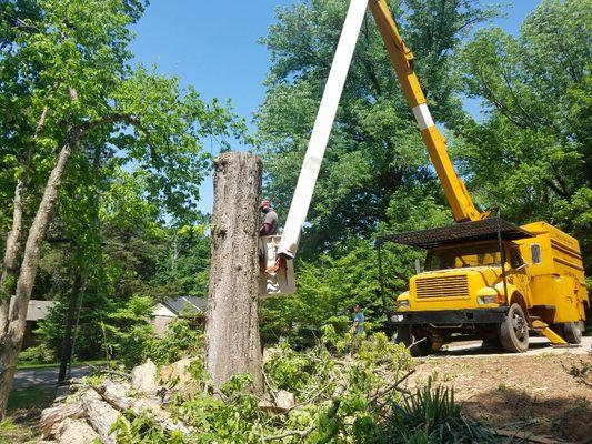 Chris's Tree Service