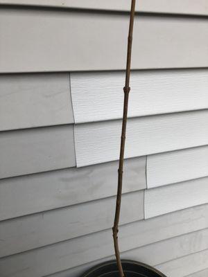 This is the siding they installed to replace the siding they broke when installing the new window