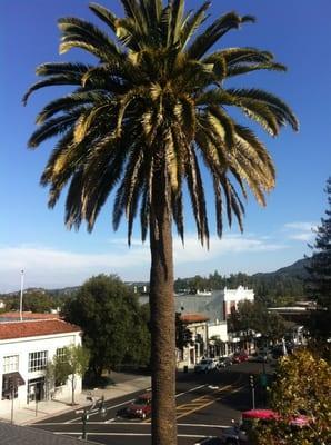 Main Street and Santa Cruz ave Los Gatos