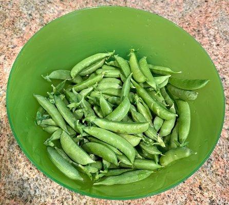 Snap pea picks