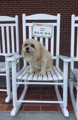 They even have rocking chairs at Ingle's. :)