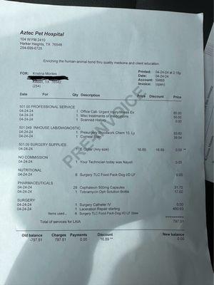 Vet invoice