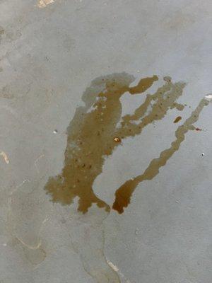 Oil leak in my garage from car change out #2.