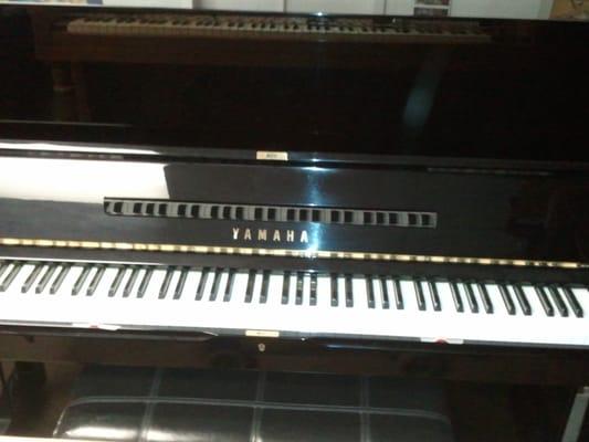 Yamaha Studio Upright U1