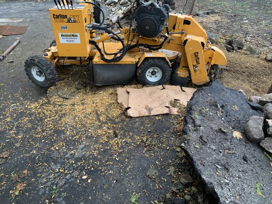 PMG Stump Removal