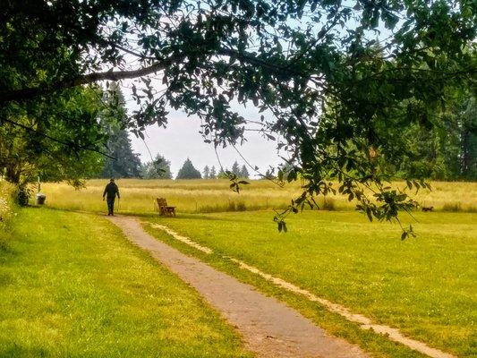 Taking a lap around the park