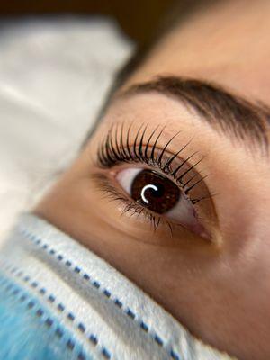 Keratin Lash Lift & Tint