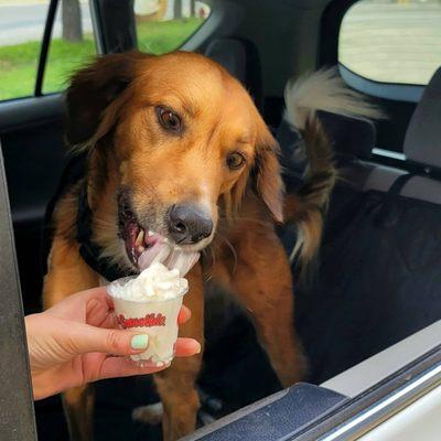 Bring your puppy on by and ask for a free puppuccino!