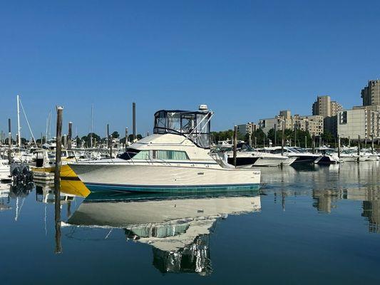 1985 Bertram 33 Sportfisherman