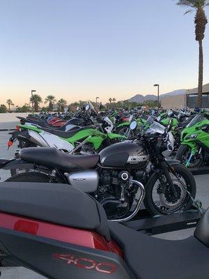 Beautiful array of Kawasaki motorcycles!