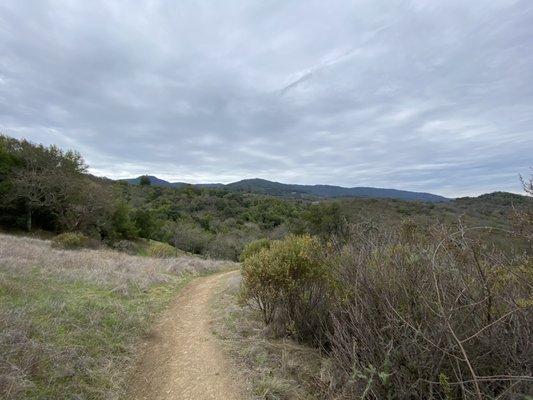 Quick Silver Almaden Webb Canyon Access