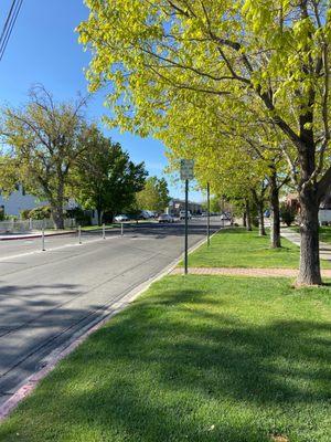 Residential Forest St