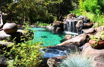 Lagoon style Natural Design swimming pool