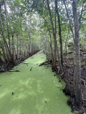 Bear Creek Nature Trail