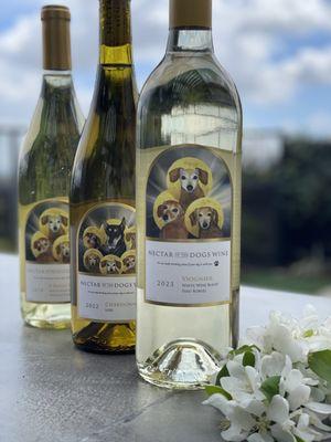 We produce award winning wines!