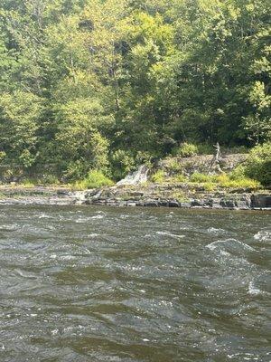 Indian Head Canoes