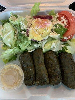 Homemade stuffed grape leaves ("dolmades") with egg lemon sauce. Yum!