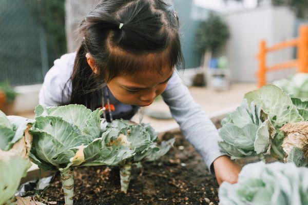 Exploring the garden.