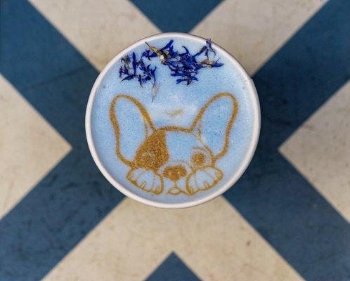 DayDream (Blue) Latte with Frenchie art. So adorable!!