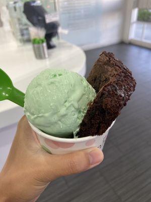 Mint ice cream brownie bowl