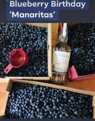 Blueberry Margarita