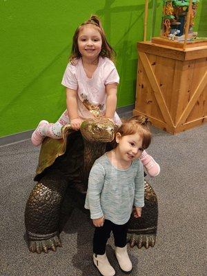 Cousins fun day at the Museum on the brass tortoise