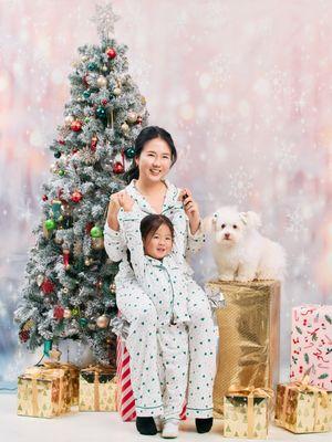 Christmas, family , dog, pet, portrait, headshot, maternity , baby photo