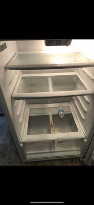 Disgusting fridge with pubic hair and a leftover water bottle from the previous tenant