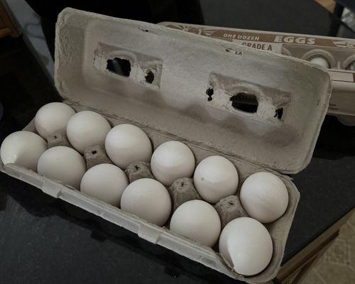 Farm fresh eggs