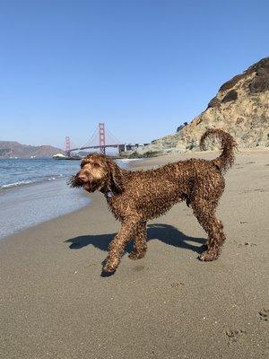 Charlie @ baker beach