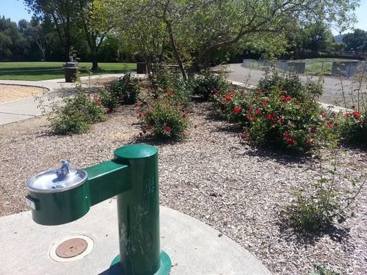 drinking fountain