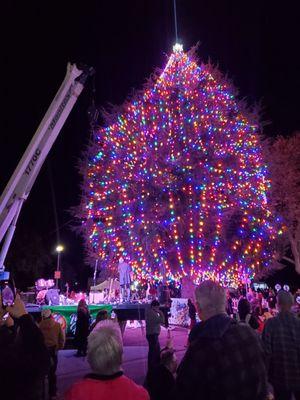 Tree lighting