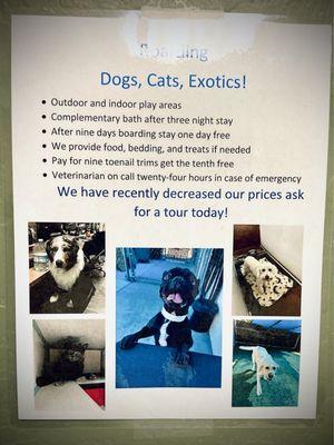 Advertisement for pet boarding at the facility