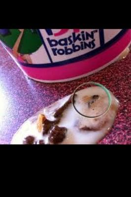 Baskin-Robbins